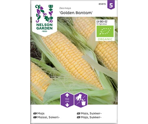 Frø sukkermais Golden Bantam økologisk