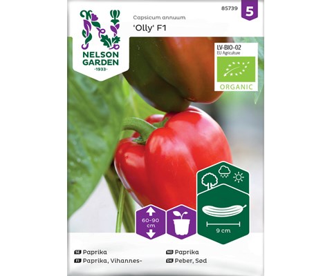 Frø paprika Olly økologisk