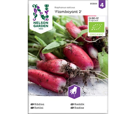 Frø reddik Flamboyant 2 økologisk
