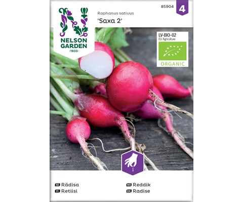 Frø reddik Saxa 2 økologisk