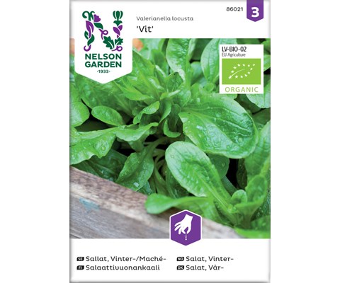Frø vintersalat Vit økologisk