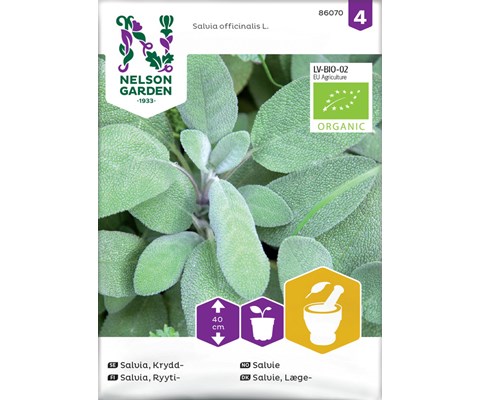 Frø salvie økologisk