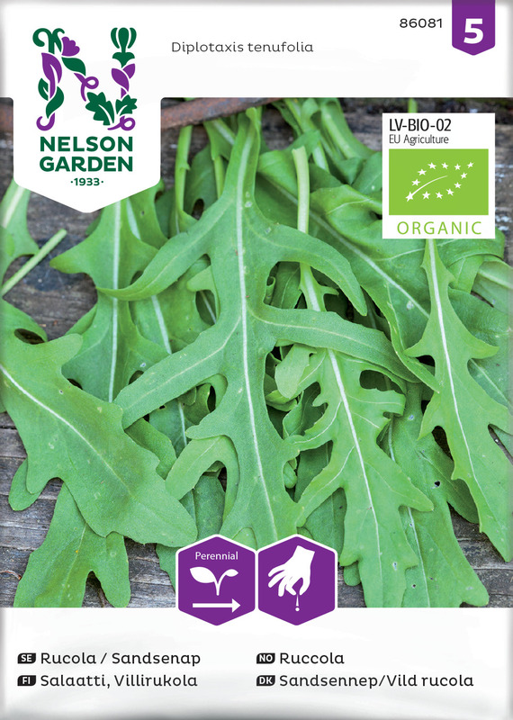 Frø Ruccola økologisk