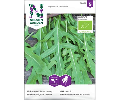Frø ruccola økologisk