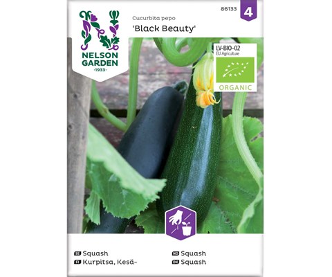 Frø squash Black Beauty økologisk