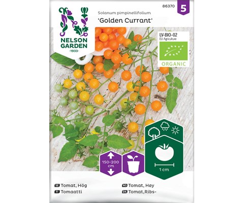 Frø tomat høy Golden Currant økologisk