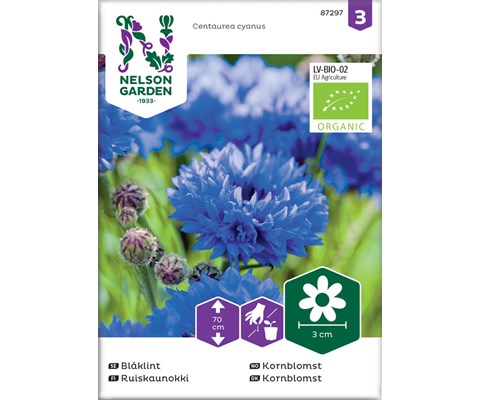 Frø kornblomst økologisk