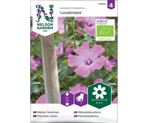 Frø månedslavatera Loveliness økologisk