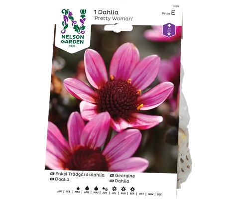 Vårløk georgine Pretty Woman