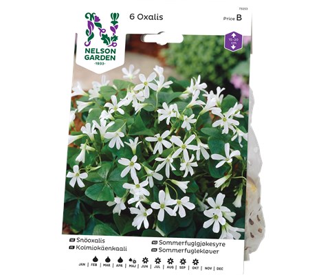 Vårløk sommerfuglgjøkesyre