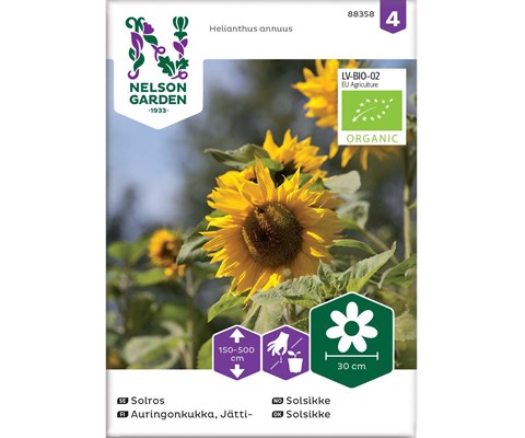 Frø solsikke økologisk