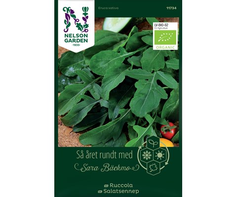 Frø ruccola økologisk