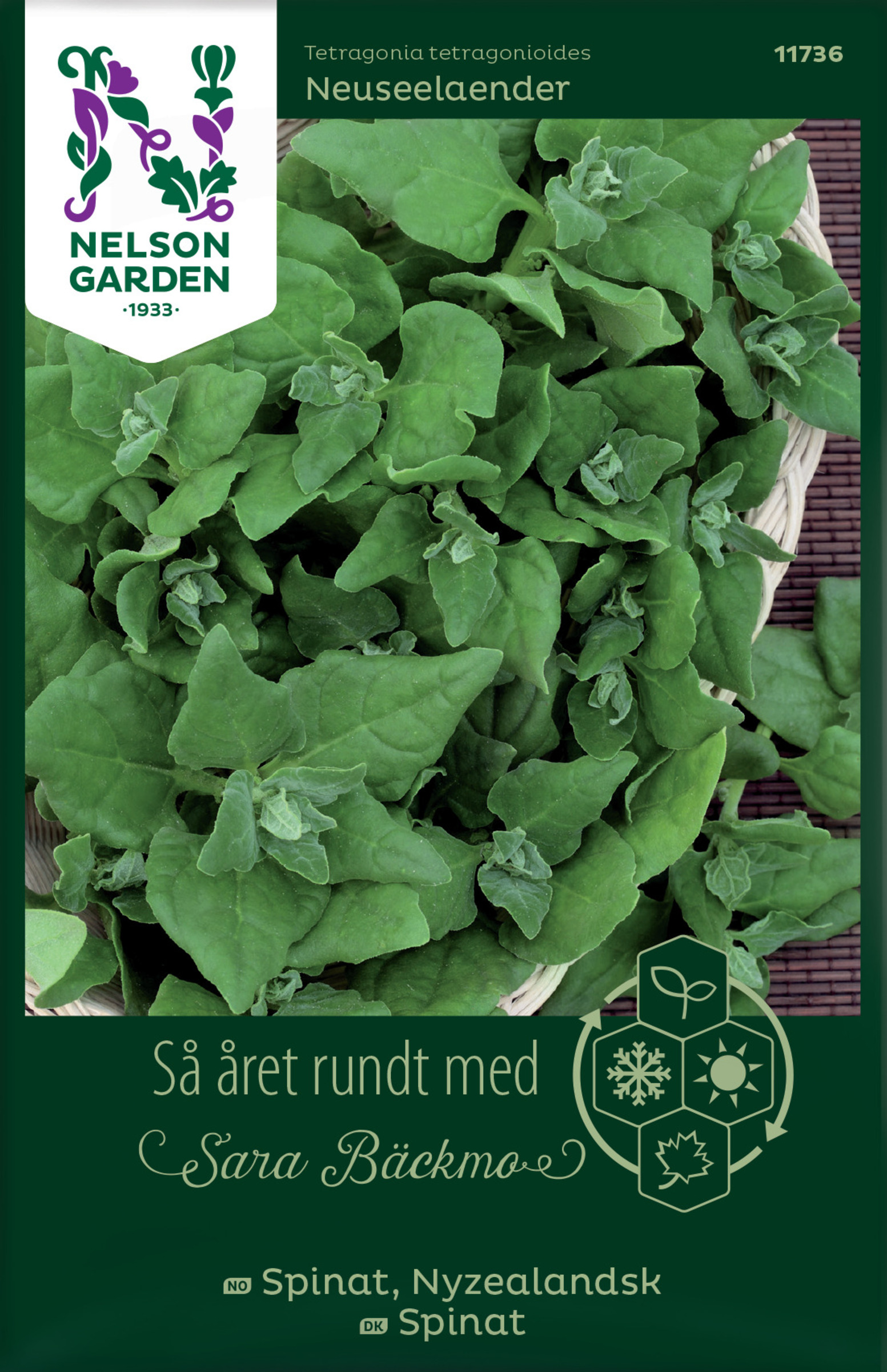 Frø Nyzealansk spinat