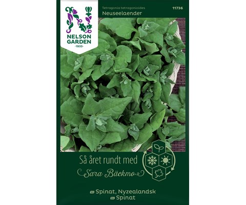 Frø nyzealandsk spinat