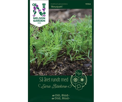 Frø bladdill Bouquet