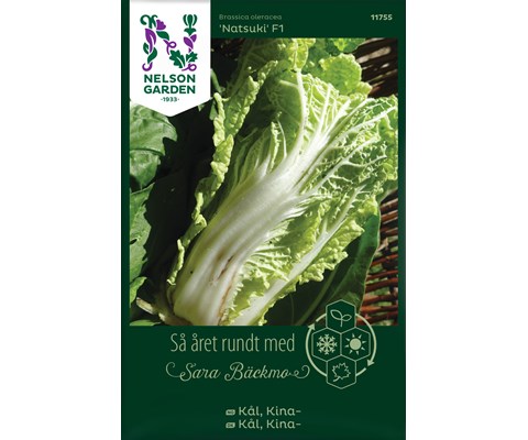 Frø kinakål Natsuki