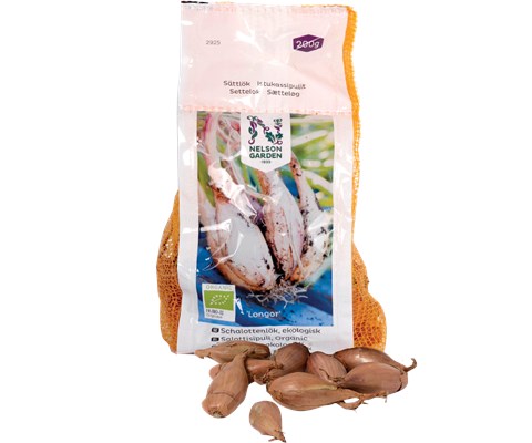 Setteløk sjalottløk Longor økologisk 200 g