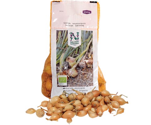 Setteløk gul løk Setton økologisk 10/21 250 g