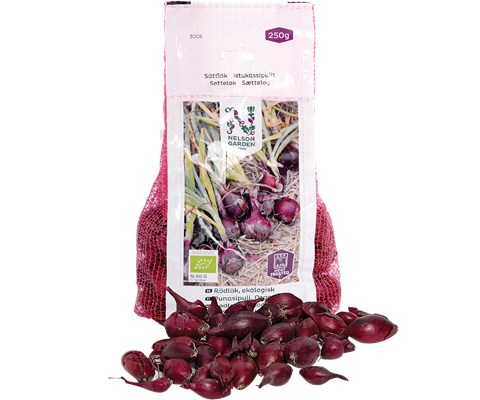 Setteløk rødløk Red Baron økologisk 10/21 250 g