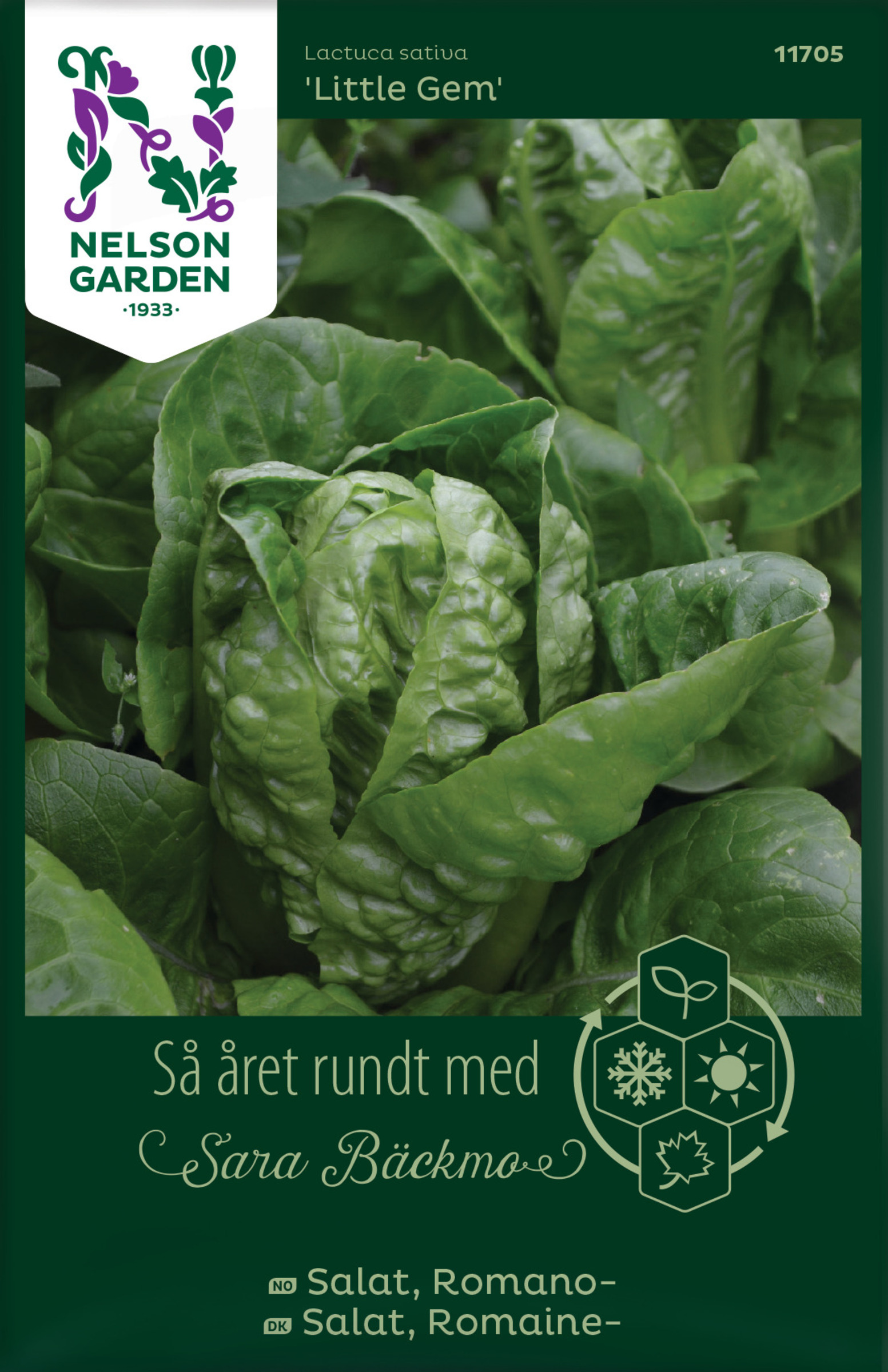 Frø Romano salat