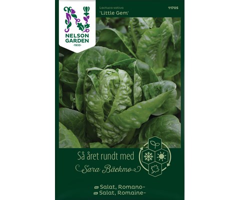 Frø romanosalat Little Gem