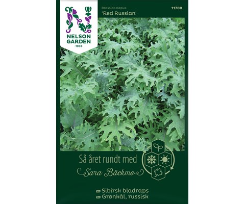 Frø sibirsk bladrasp Red Russian