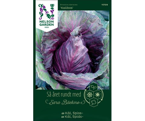 Frø spisskål Kalibos