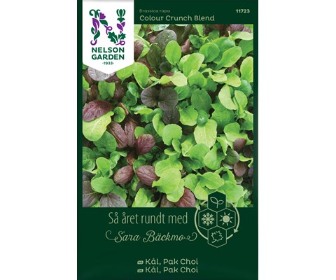 Frø Pak Choi kål Colour Crunch Blend