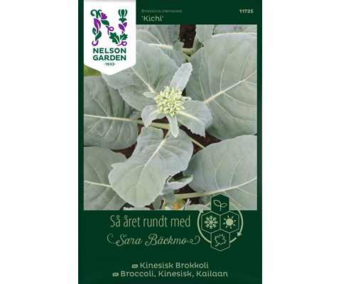 Frø kinesisk brokkoli Kichi