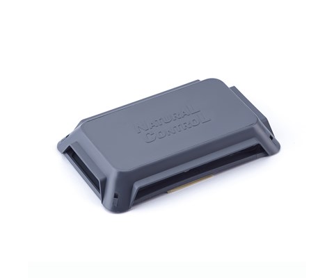 Insektsfelle krypende insekt 2 stk