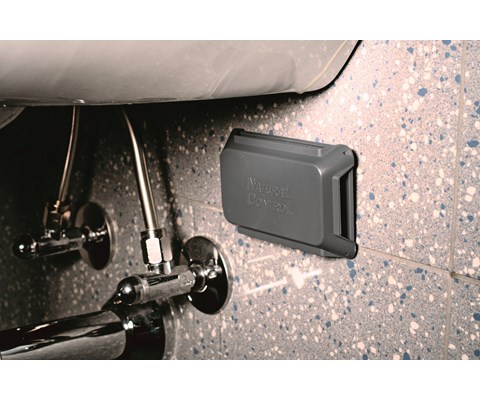 Insektsfelle krypende insekt 2 stk