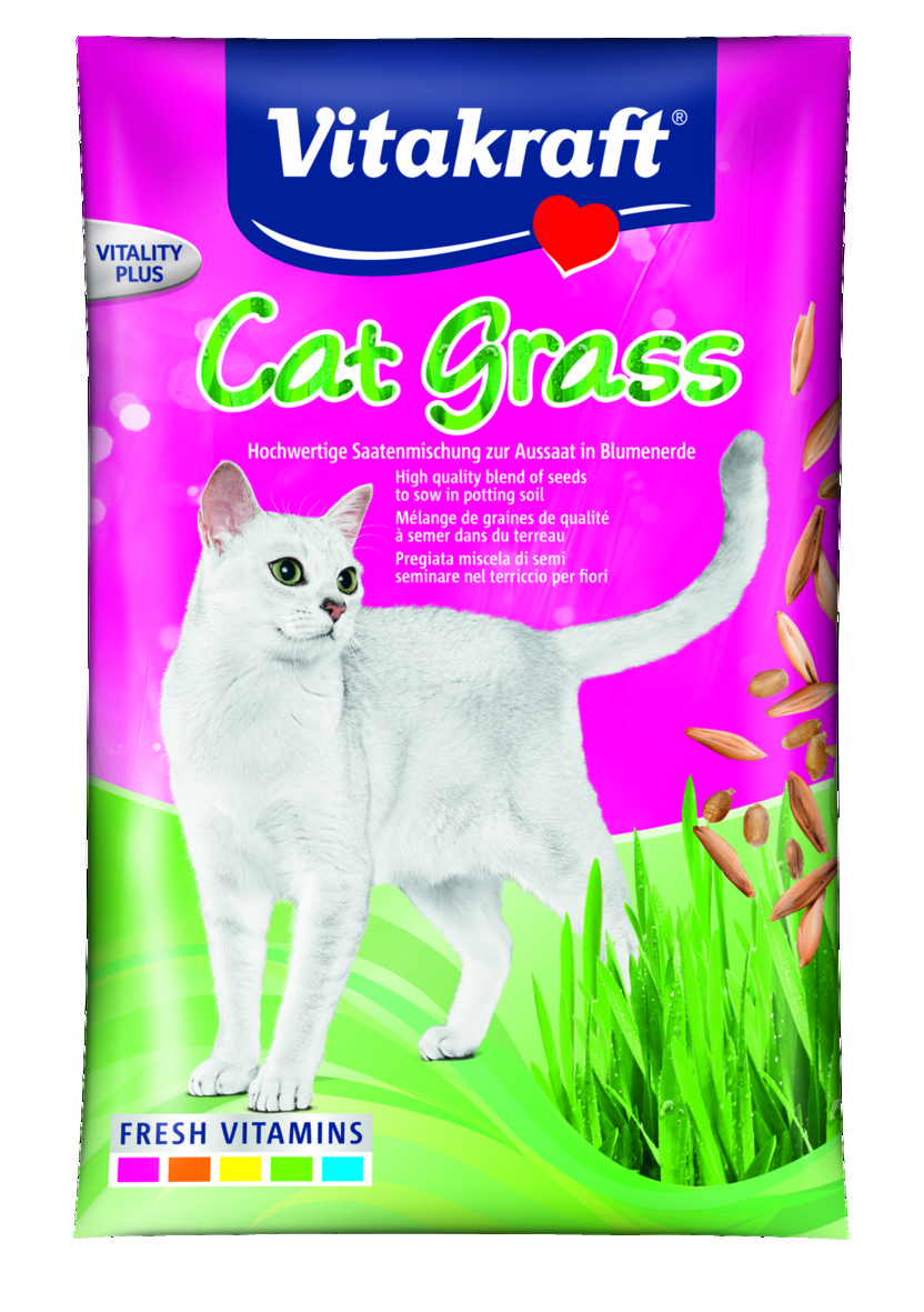Kattegress refil 100 g