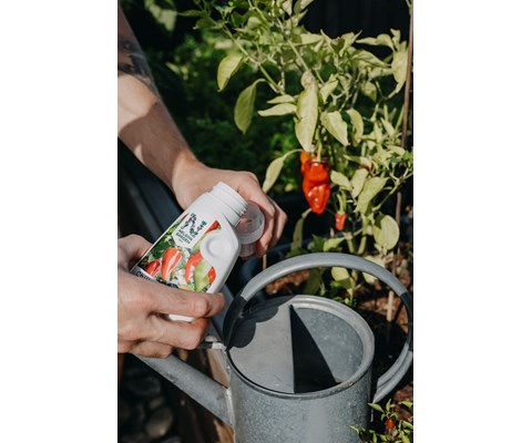 Mineralgjødsel for Chili 250 ml