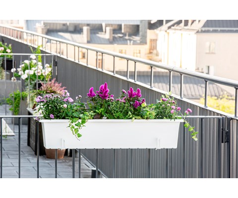 Balkongkasse Botanica 80 cm hvit