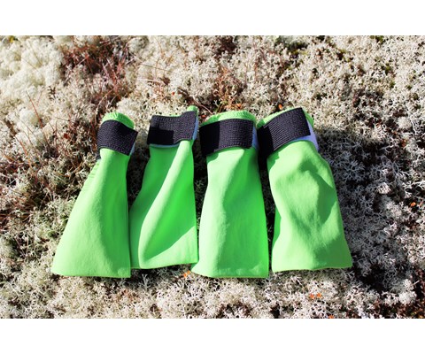 Potesokker Snø grønn 4 pk