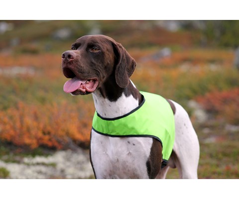 Markeringsdekken Duo grønn