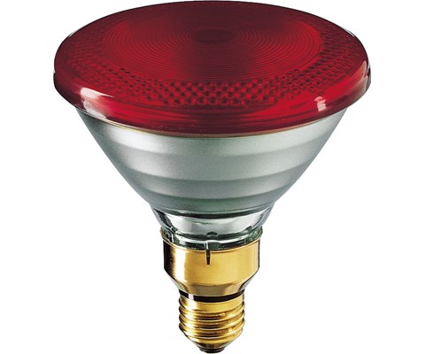 Varmepære infrarød 100W 12 stk