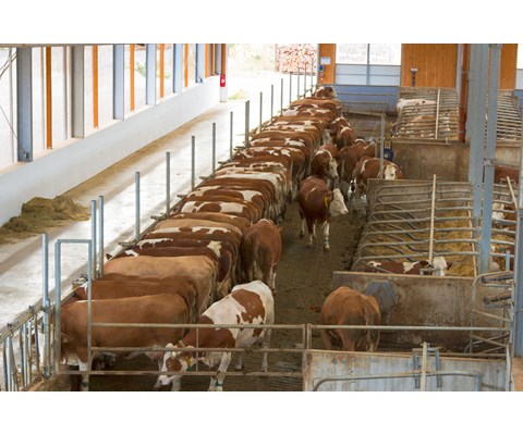 Overvåkningskamera 360 GR RC/HD