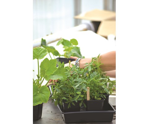 Spirekasse Solid svart 26x68 cm