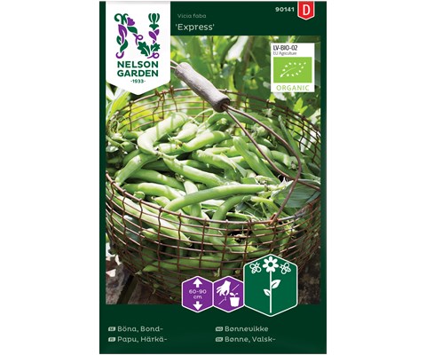 Frø bønnevikke Express økologisk