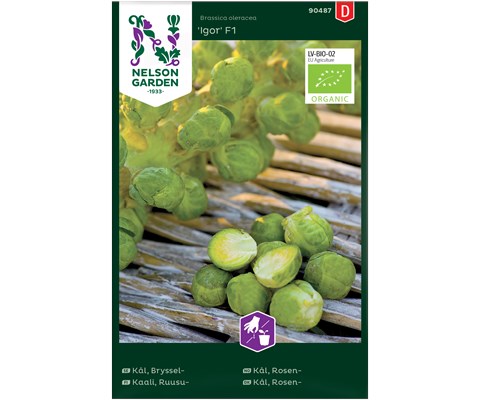 Frø rosenkål Igor økologisk