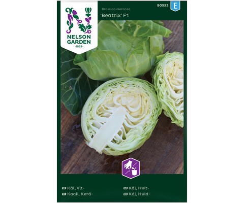 Frø hvitkål Beatrix