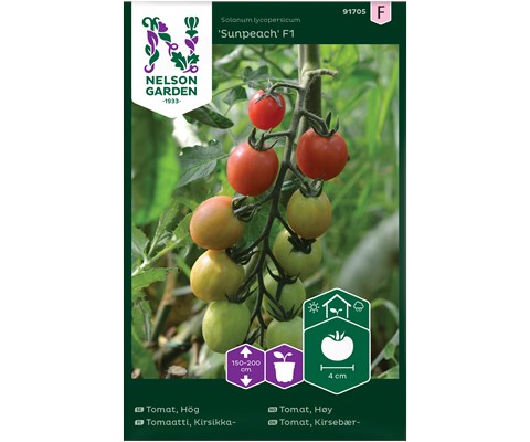 Frø tomat høy Sunpeach