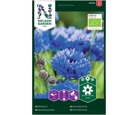 Frø kornblomst økologisk