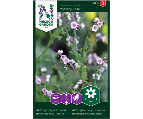 Frø kinesisk forglemmegei Mystery Rose