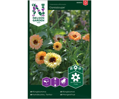 Frø ringblomst Cantaloupe