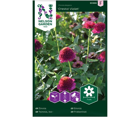 Frø sinnia Cresto! Violet