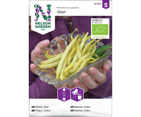 Frø voksbønne Dior  økologisk
