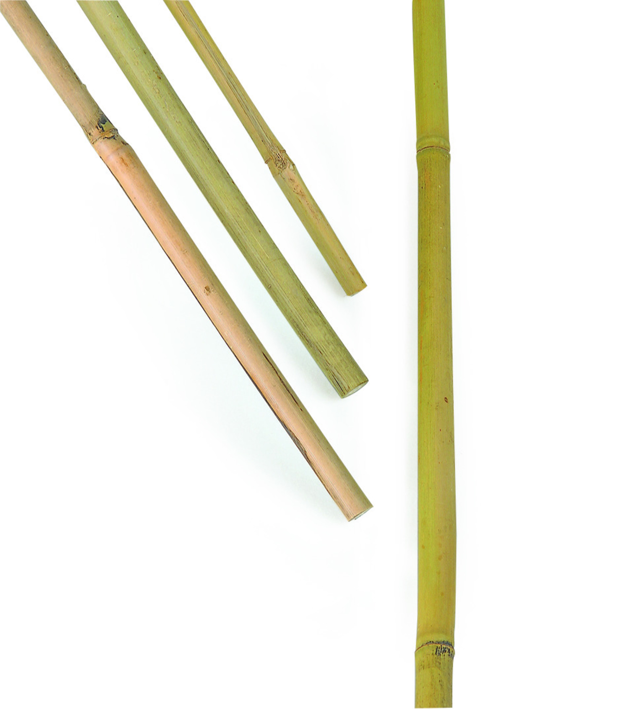 Bambusstaver 100 cm 10 pk