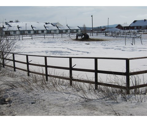 Gjerdestolpe Scanpole impregnert 7x175 cm 203 stk